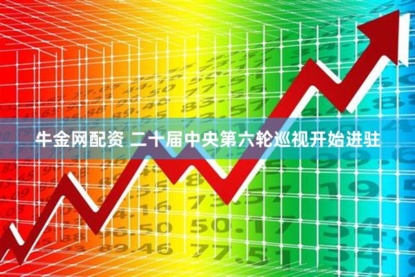 牛金网配资 二十届中央第六轮巡视开始进驻