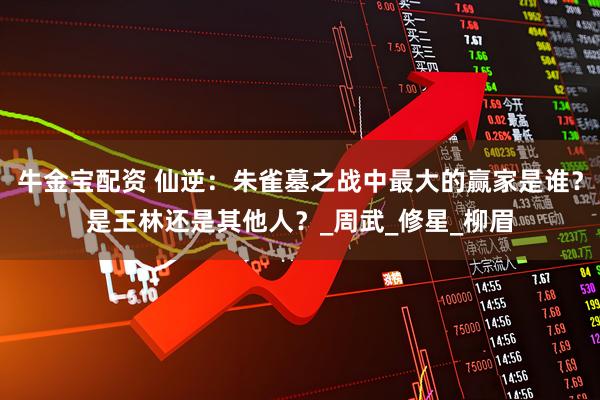 牛金宝配资 仙逆：朱雀墓之战中最大的赢家是谁？是王林还是其他人？_周武_修星_柳眉