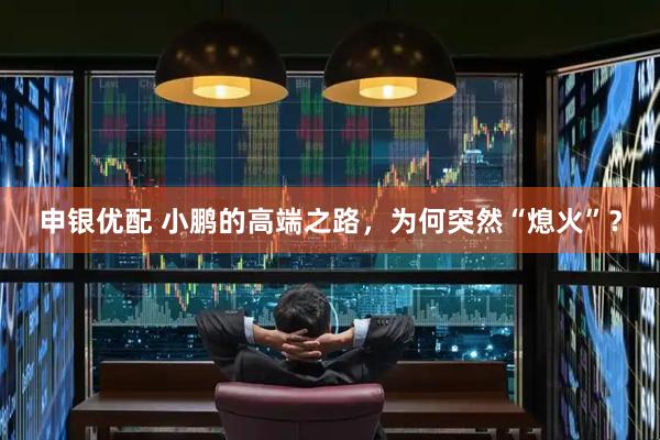 申银优配 小鹏的高端之路，为何突然“熄火”？