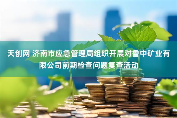 天创网 济南市应急管理局组织开展对鲁中矿业有限公司前期检查问题复查活动