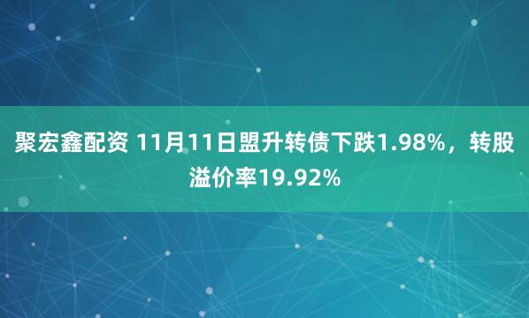 聚宏鑫配资 11月11日盟升转债下跌1.98%，转股溢价率19.92%