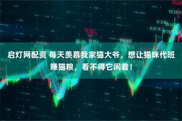 启灯网配资 每天羡慕我家猫大爷，想让猫咪代班赚猫粮，看不得它闲着！